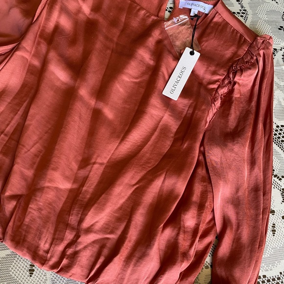 Olivaceous Long Sleeve Blouse - Picture 5 of 5